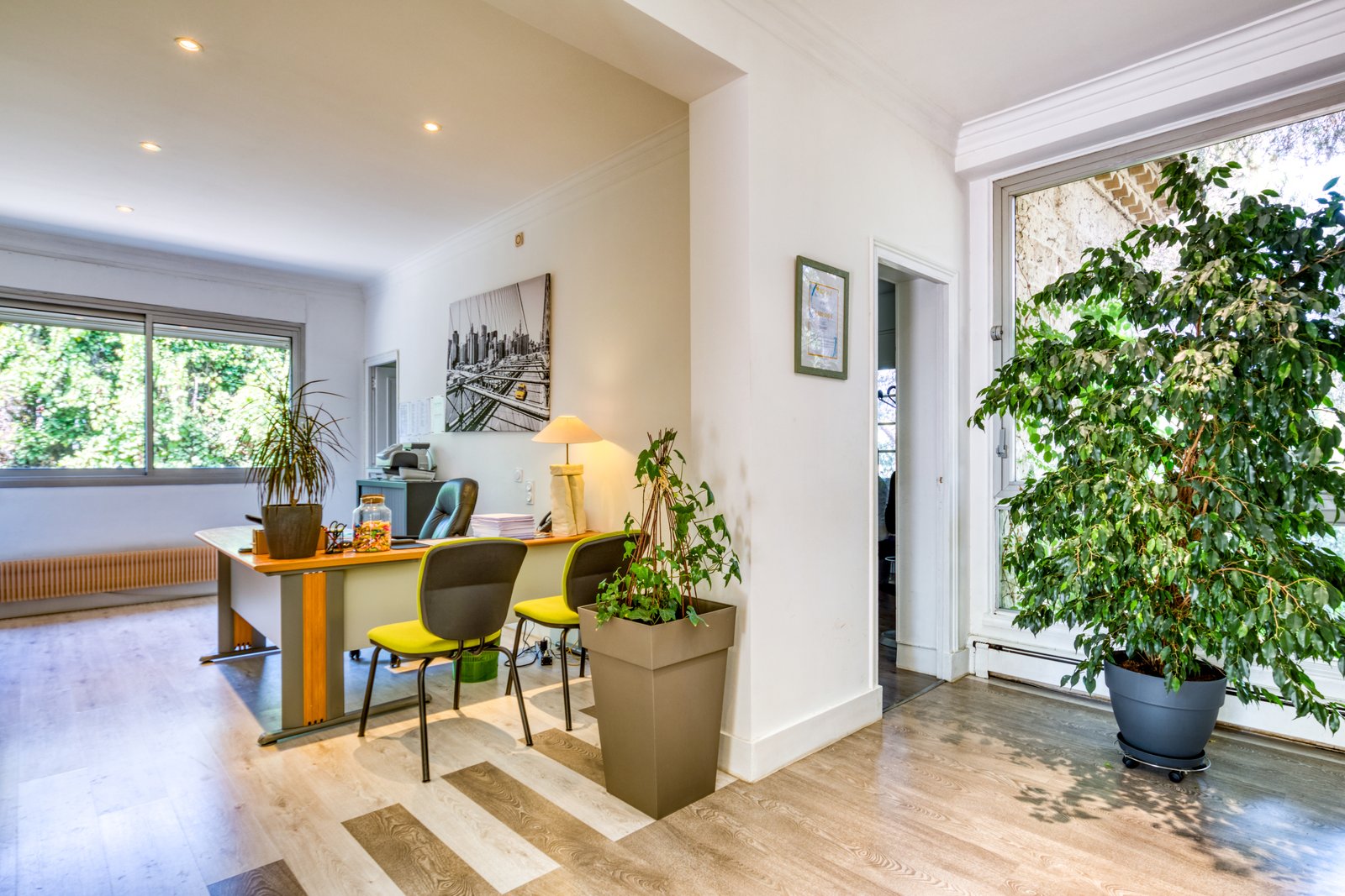Espace d’accueil du cabinet avec des plantes